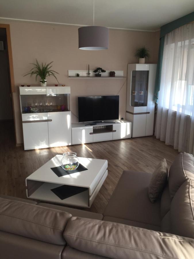 City Center Apartments Panevezys Bagian luar foto